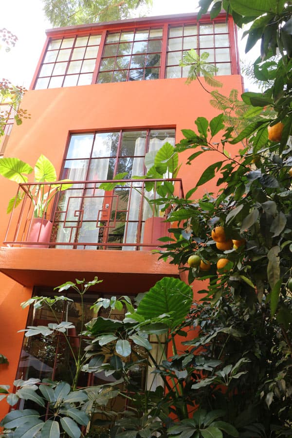 Red Tree House, Mexico City This B&B is Hard to Beat Sand In My Suitcase