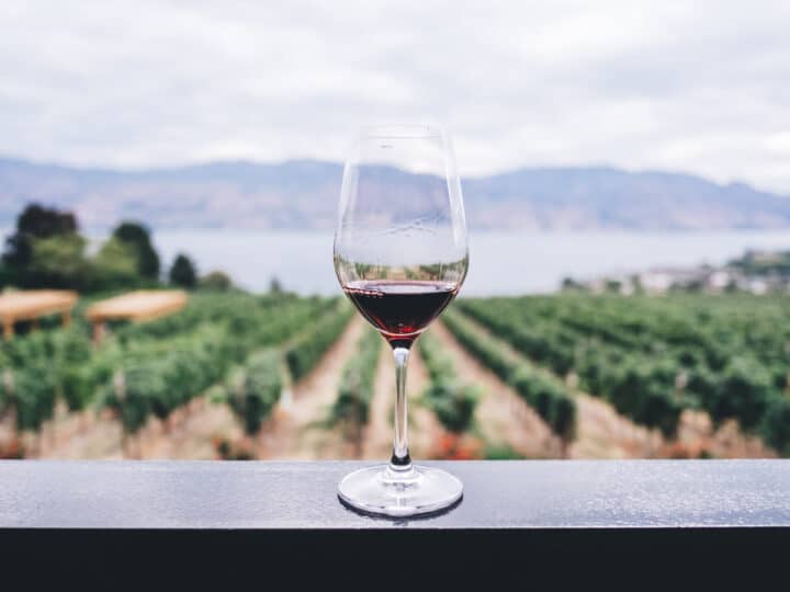 Swirl, sip, swallow: 18 best Okanagan wineries for wine tasting