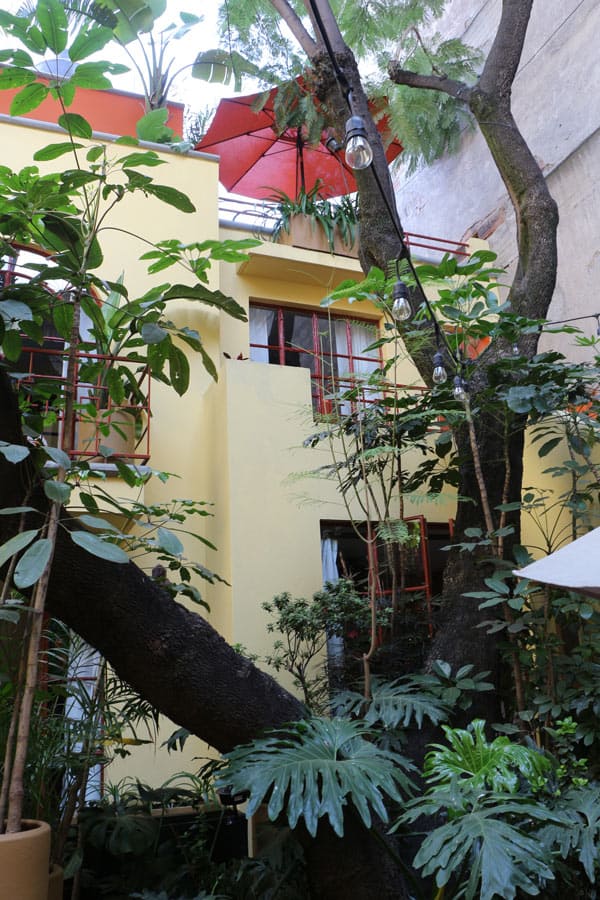 Red Tree House, Mexico City This B&B is Hard to Beat Sand In My Suitcase
