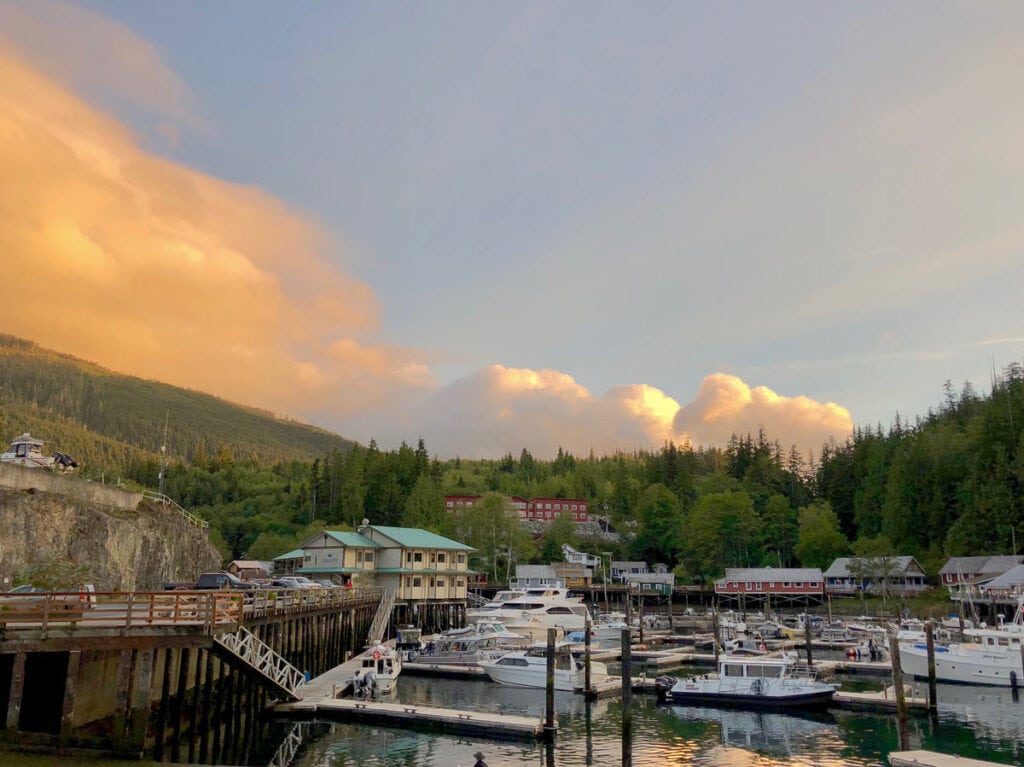 Epic Things to Do in Telegraph Cove for Adventure Lovers