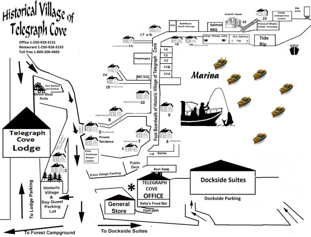 Epic Things to Do in Telegraph Cove for Adventure Lovers