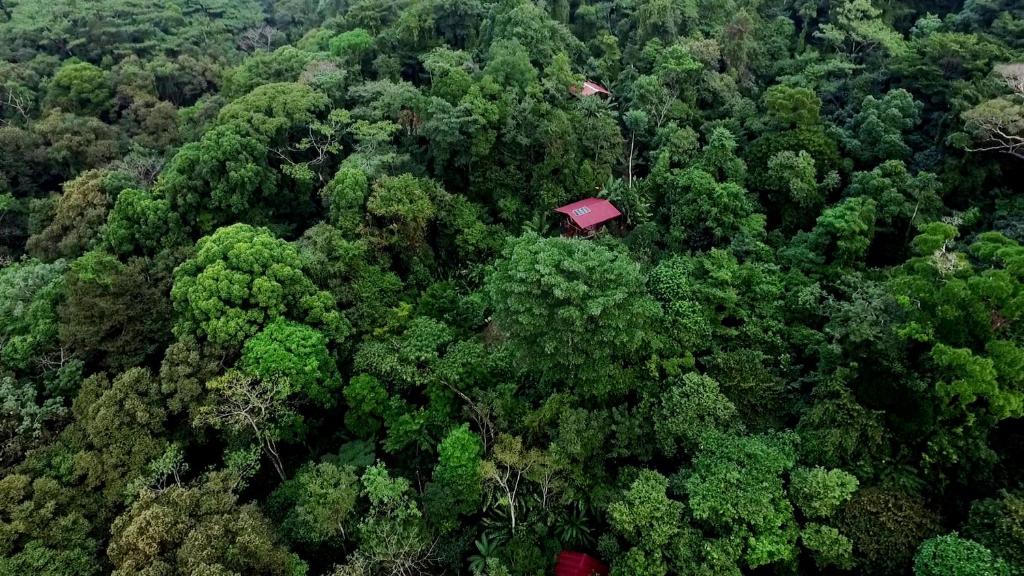 La Loma Jungle Lodge is one of the top places to stay in Bocas del Toro