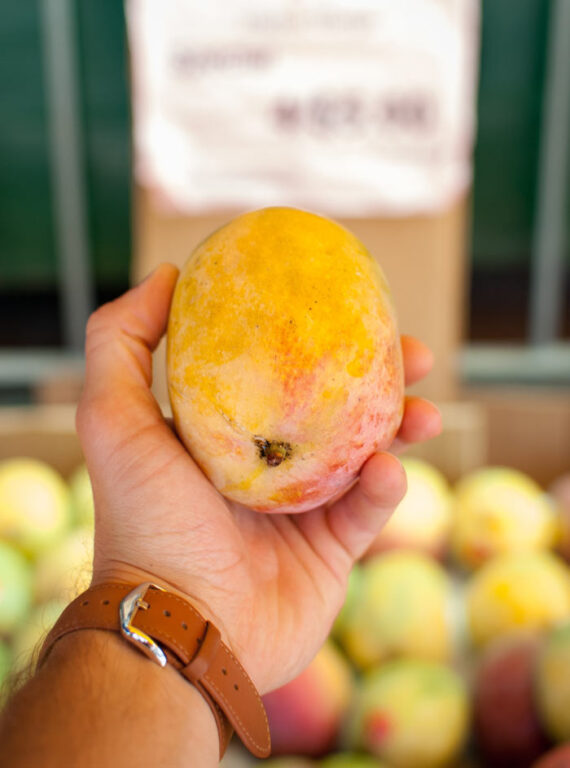 17 Exotic Types of Fruit in Mexico You Must Try!