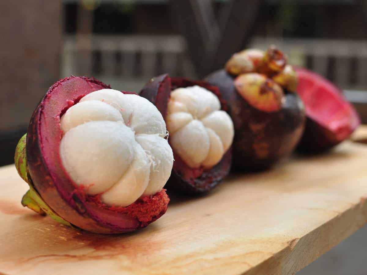 https://sandinmysuitcase.com/wp-content/uploads/2020/12/Mangosteen.jpg