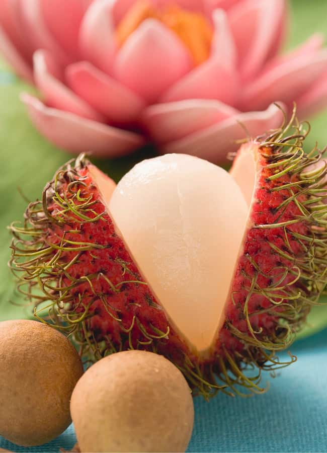 A Handy Guide to Hawaiian Fruits