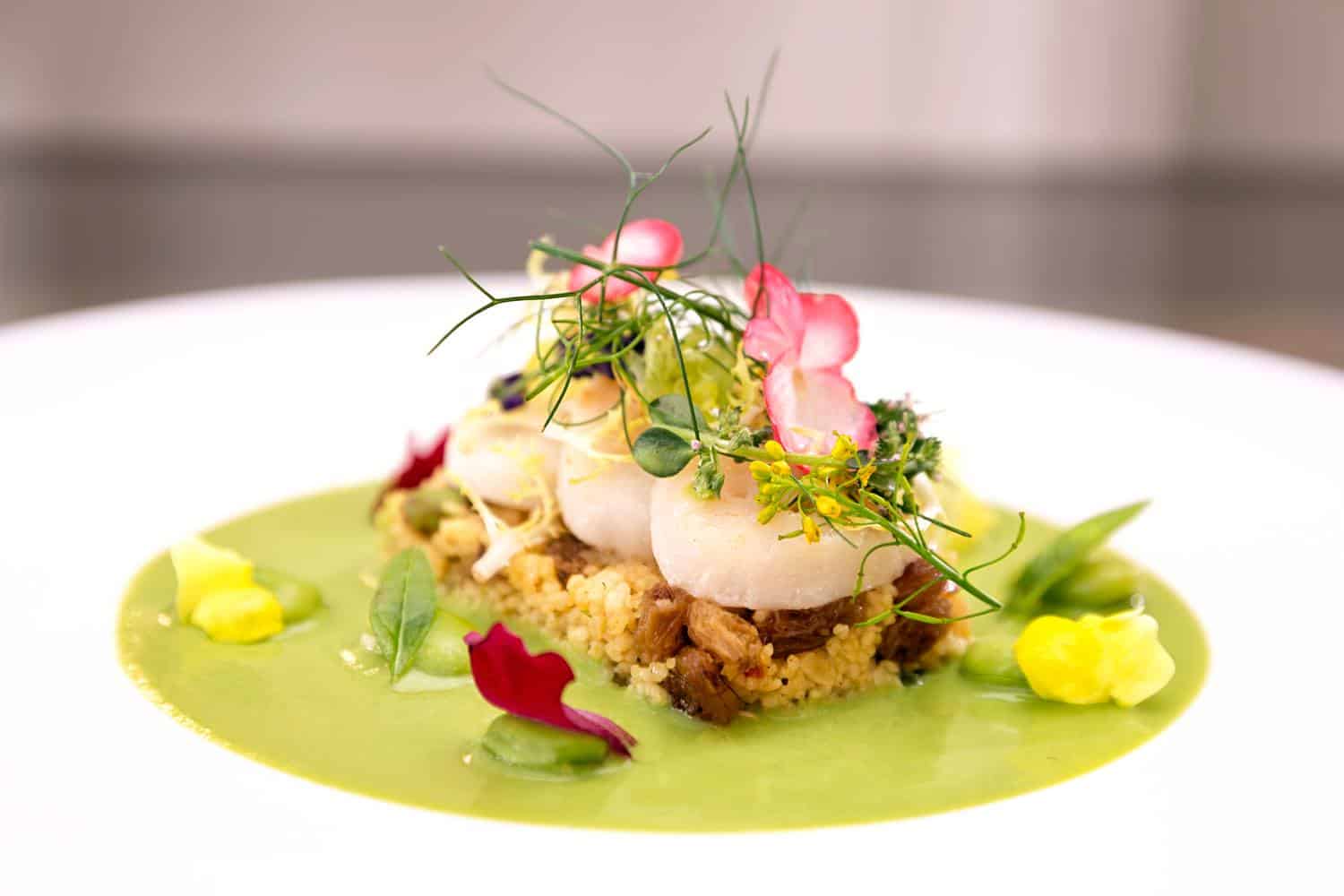 Scallops on green pea sauce
