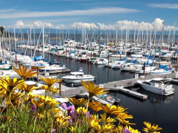 23 Crazy Fun Things to Do in Parksville + Qualicum Beach – Sand In My