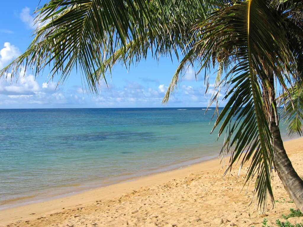 The 10 Best Swimming Beaches in Kauai, Hawaii