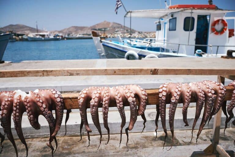 109 Fun Facts About Greece You ll Want To Know Sand In My Suitcase