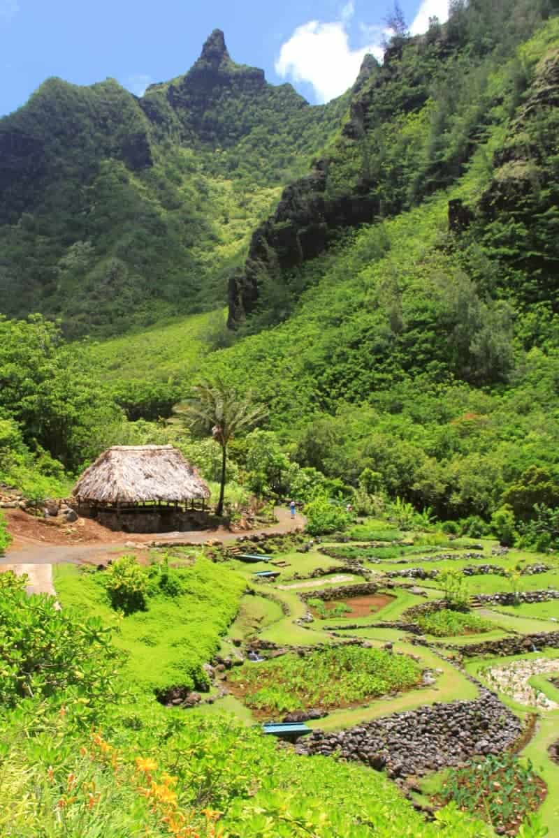 Kauai's Limahuli Garden and Preserve pays homage to native Hawaiian plants and Hawaiian culture.