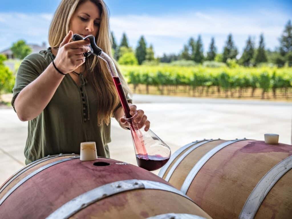 Sonoma Wine Tasting Sip, Stay and Explore