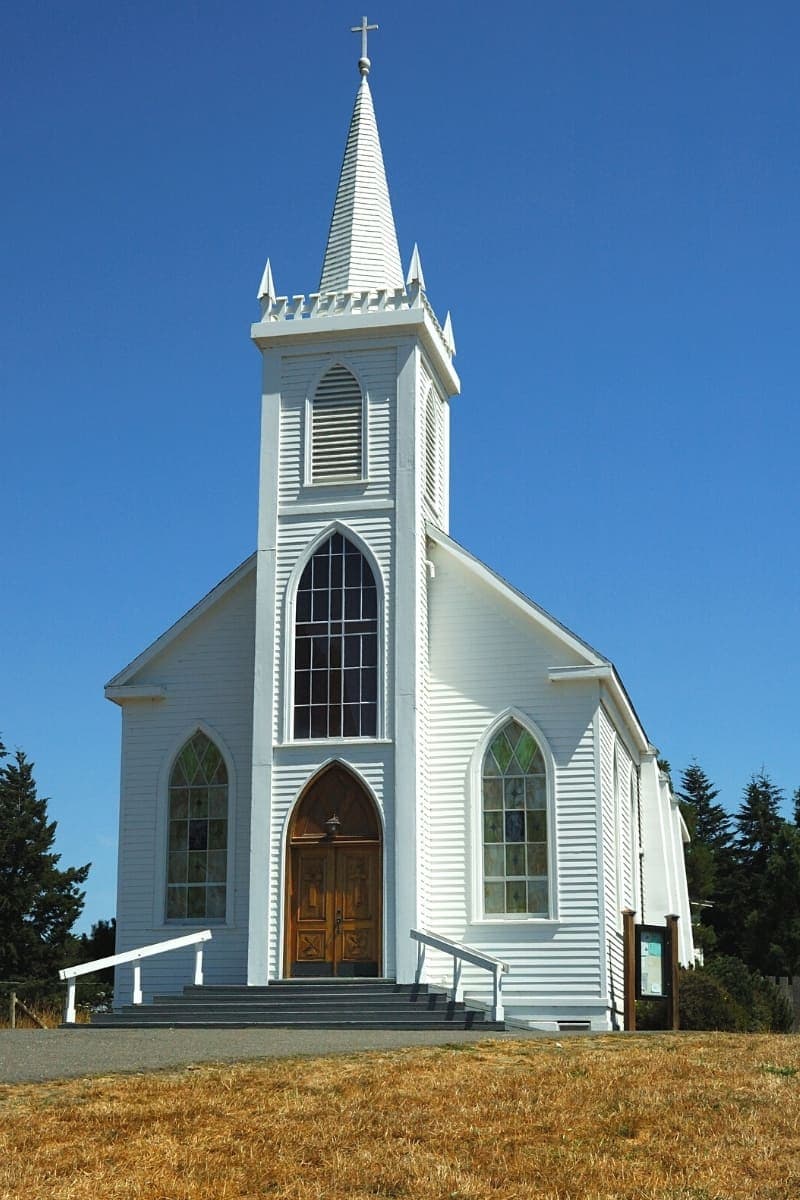 Descendants of the same birds in the Hitchcock horror movie fly around the same church in Bodega Bay - but you're not likely to get attacked.