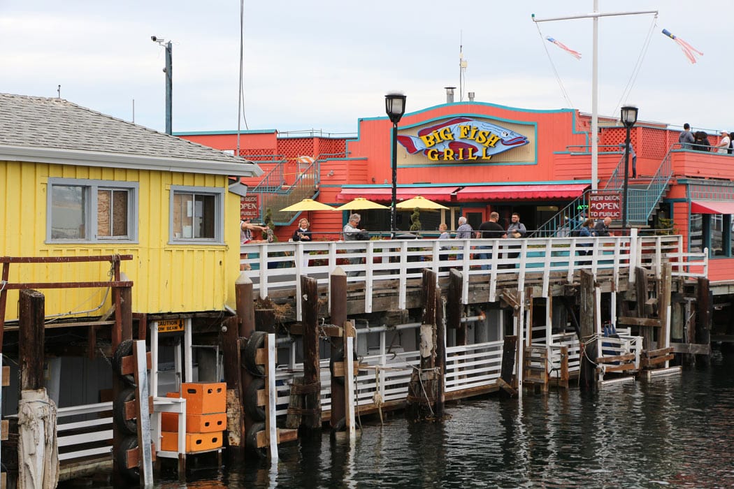 Discover artists' galleries, boutique shops and 25+ restaurants along Cannery Row in Monterey.