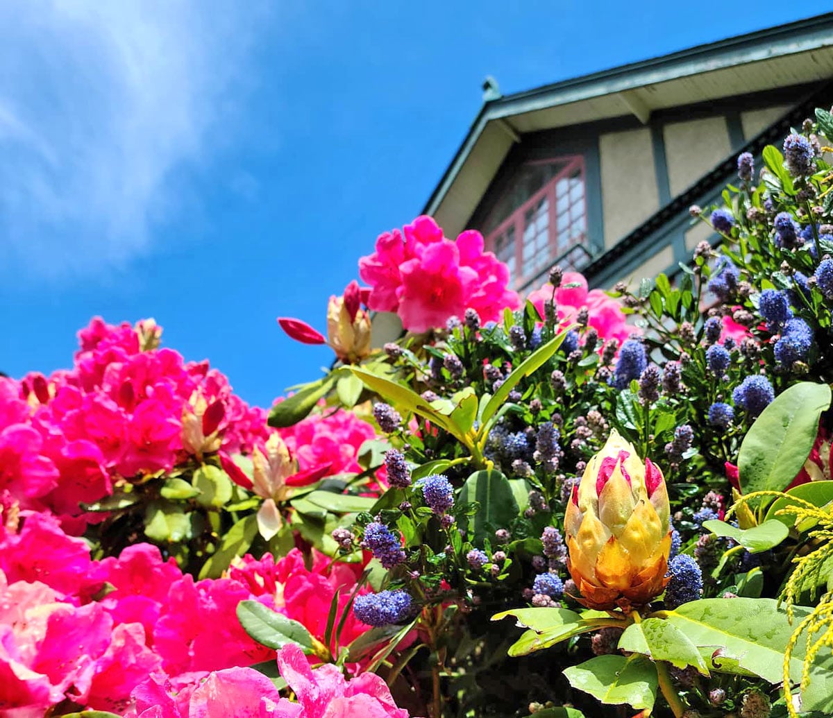 Best hotels in Victoria, BC