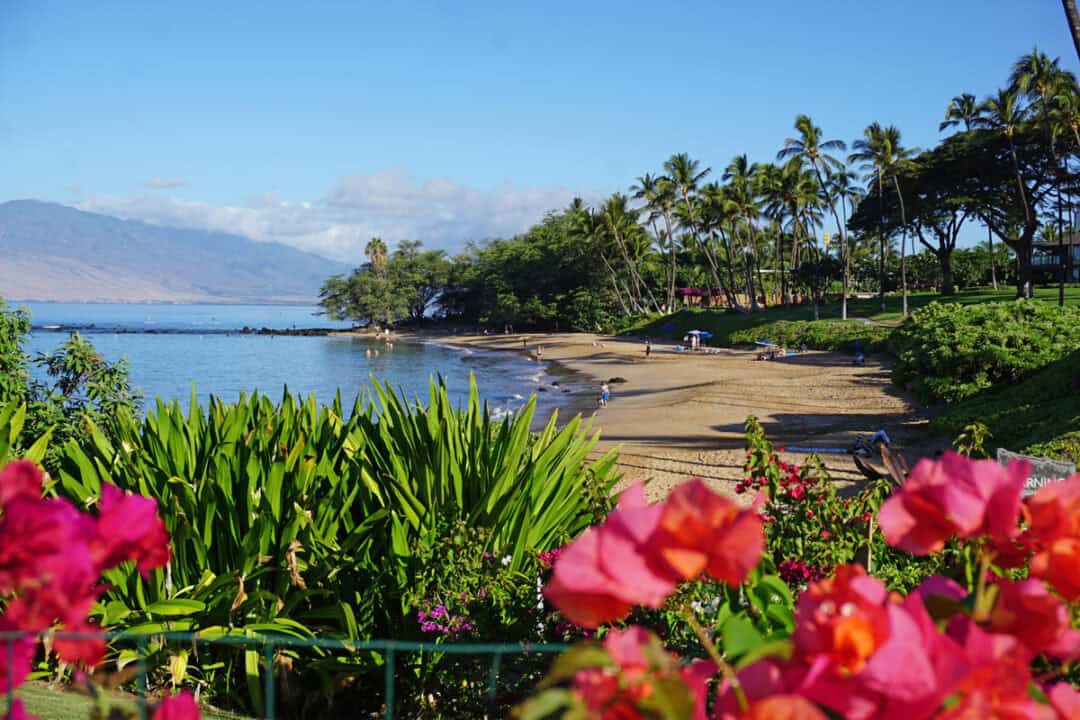 Where to Stay on Maui 7 Best Areas (and