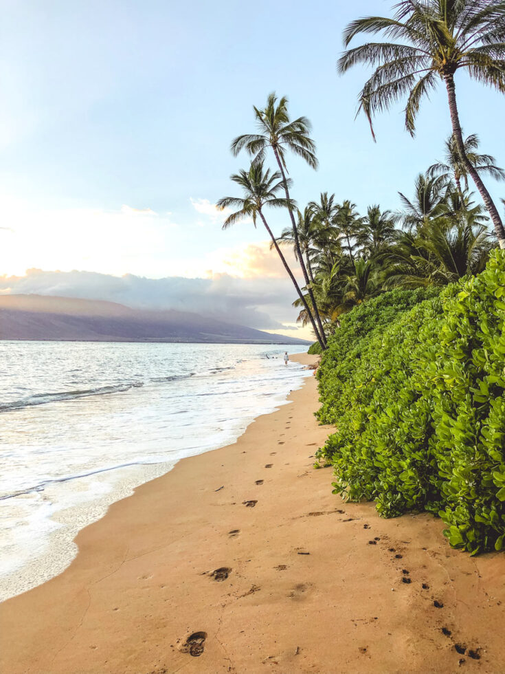 First Time to Hawaii (Best Island, Tips + Guide!) Sand In My Suitcase