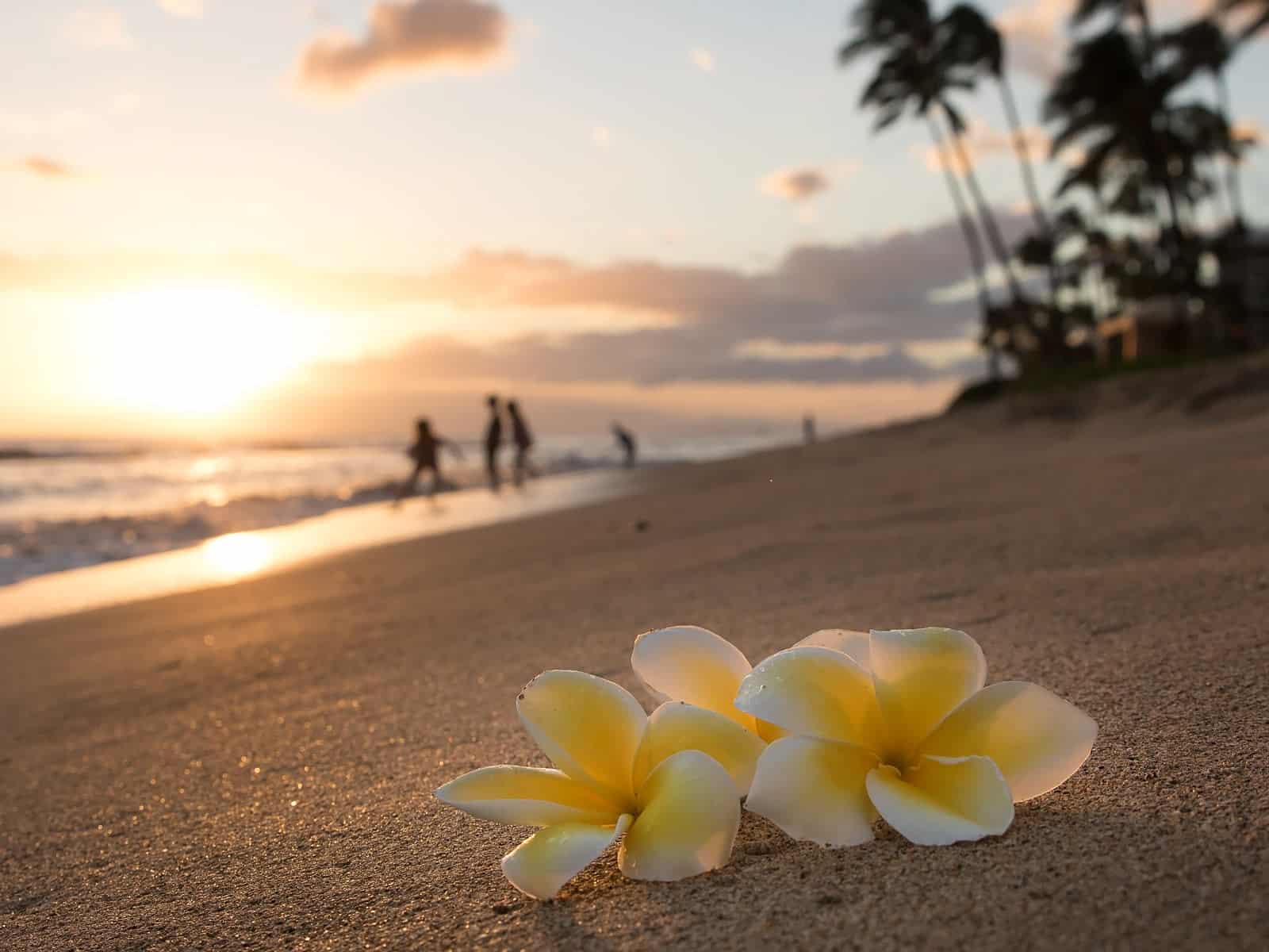 Best places to stay in Kaanapali, Maui