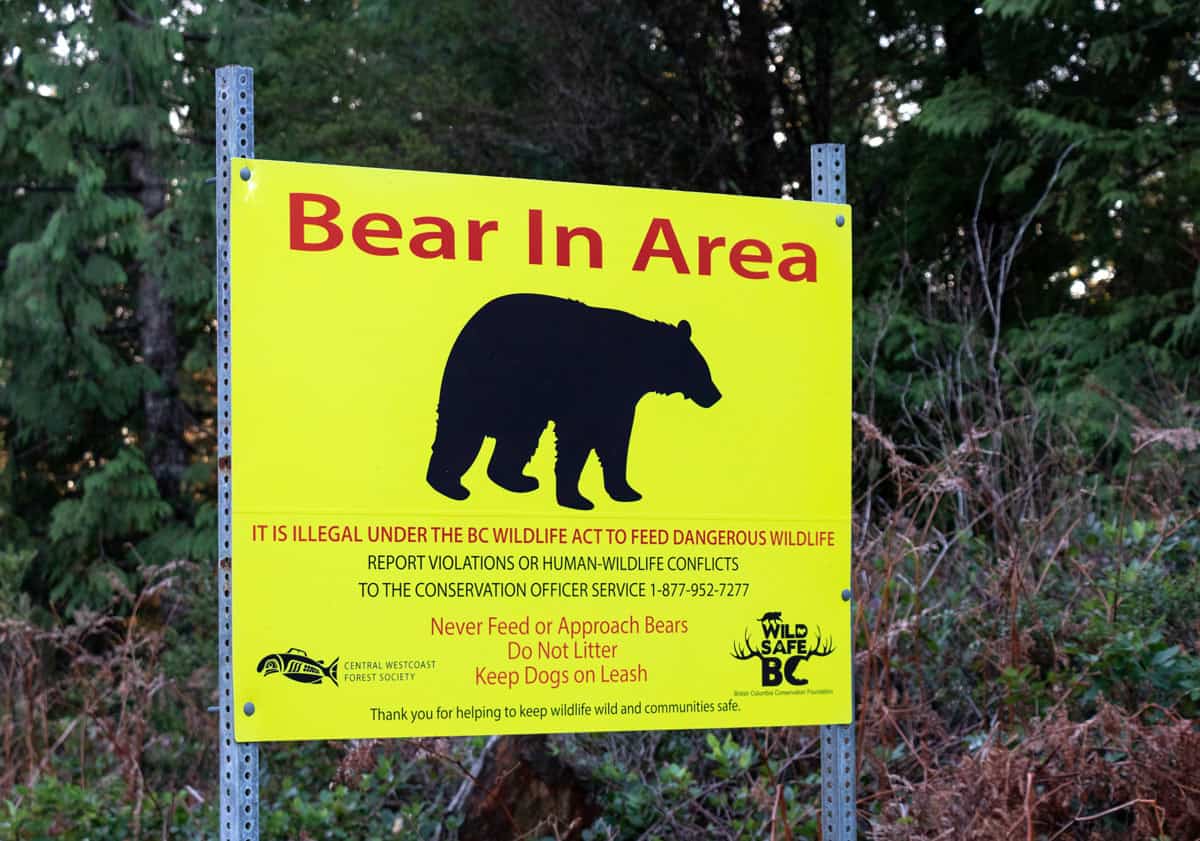 Yellow bear warning sign in Tofino, BC