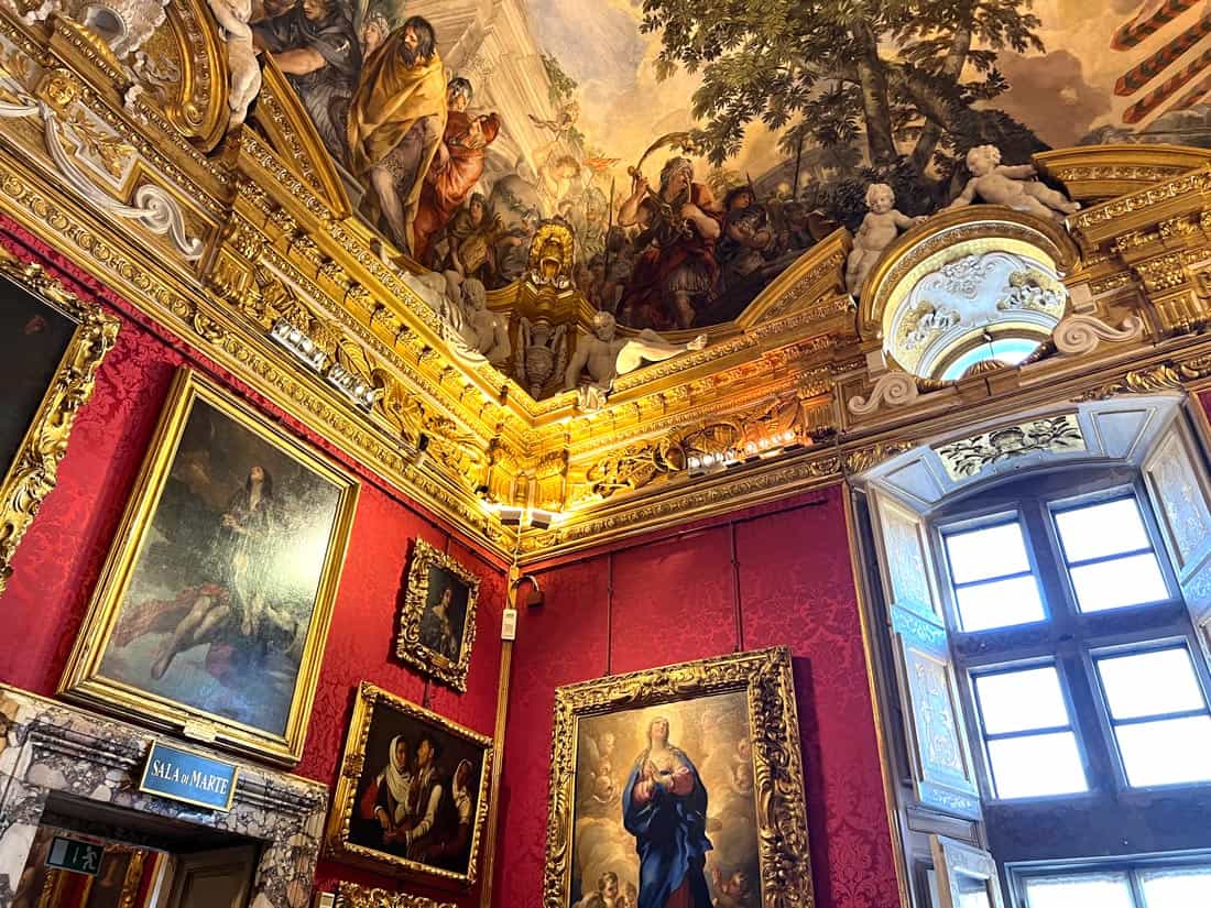 Paintings and frescoes in the Pitti Palace