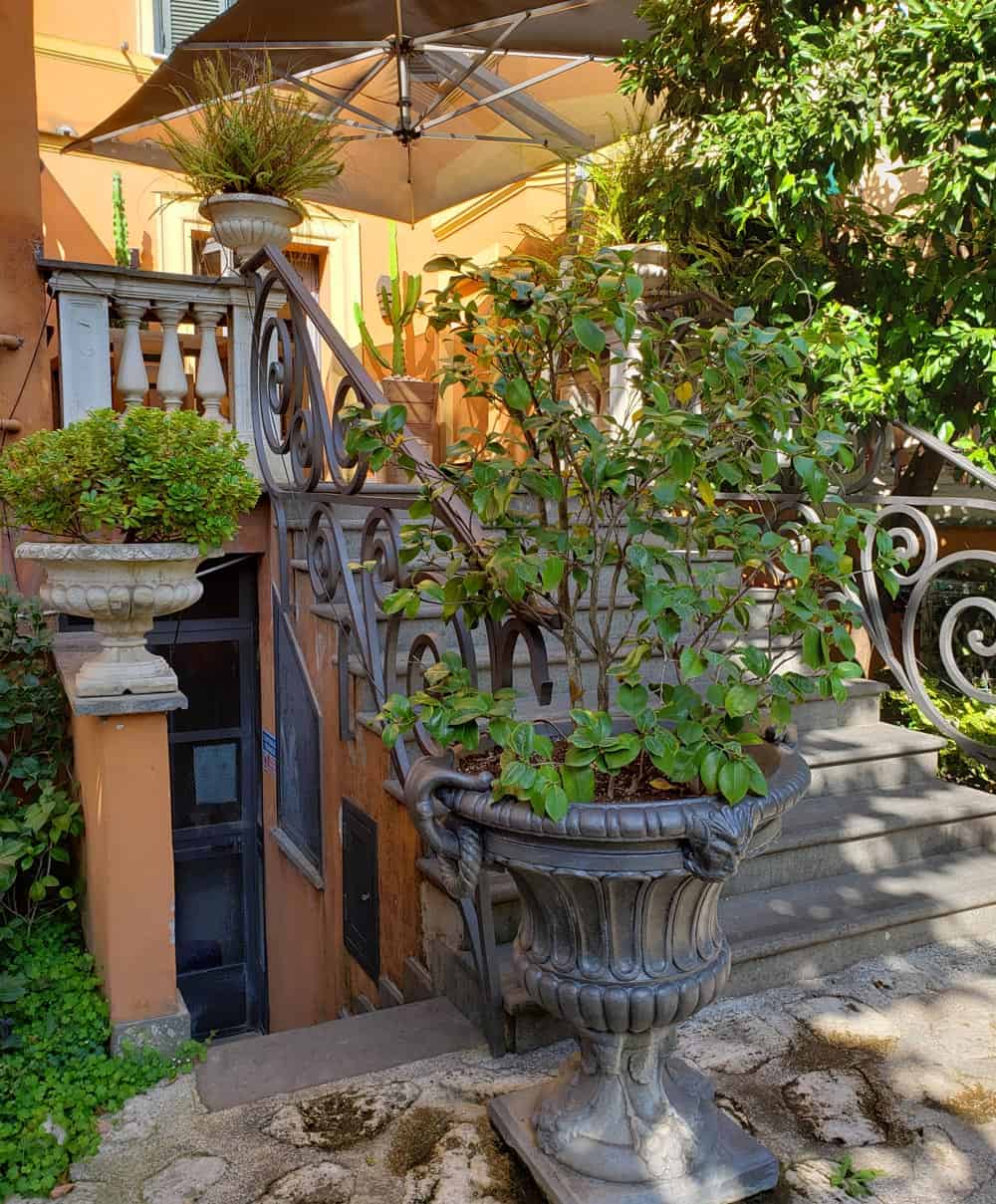 Pot plant on an outdoor staircase in Rome