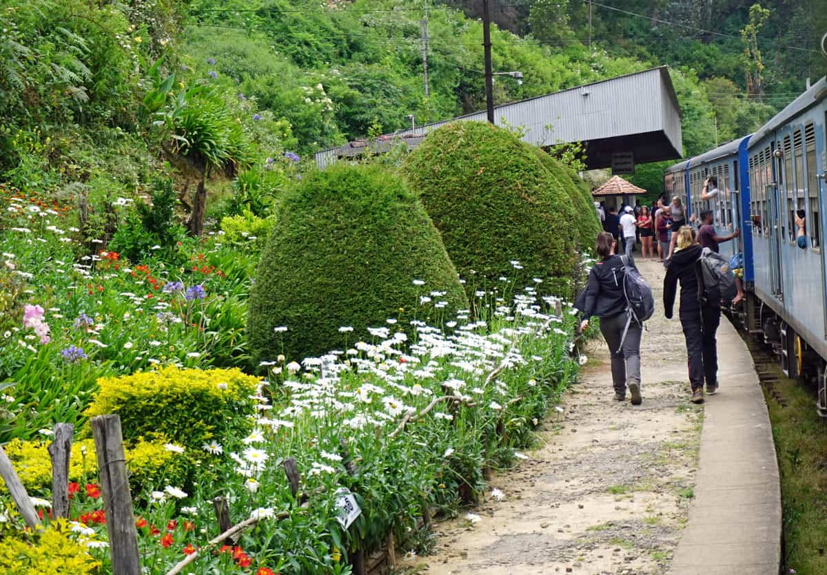 Yellow and white flowers bloom at the Ella train station