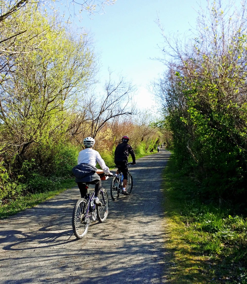 Bicycles on Victoria's Lochside Trail