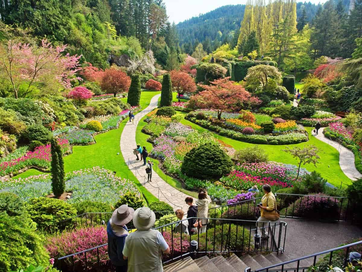 Flowers blooming in spring in Butchart Gardens
