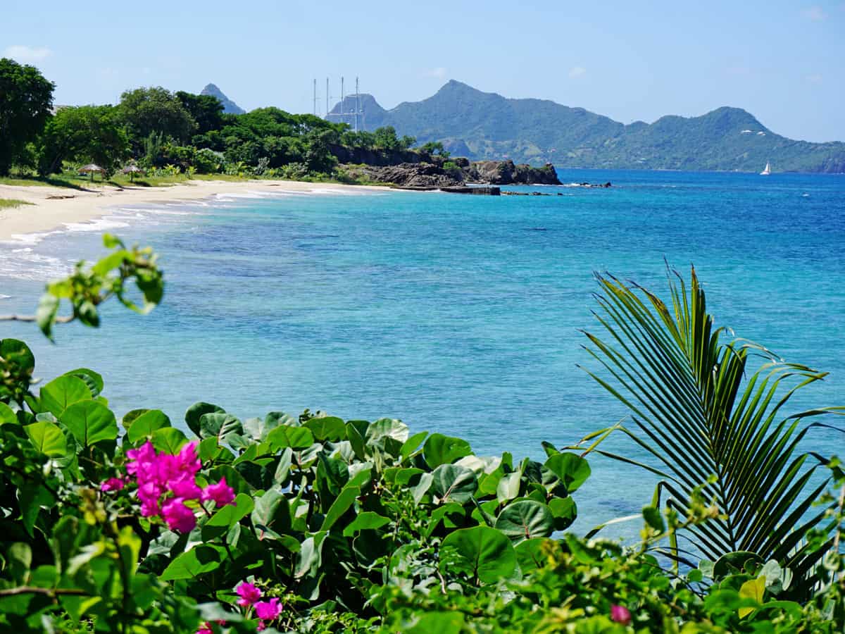 Idyllic white sand beach lapped by turquoise waters in the Grenadines