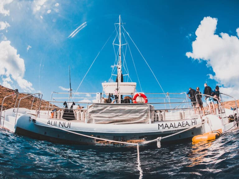 Alii Nui deluxe Molokini snorkeling