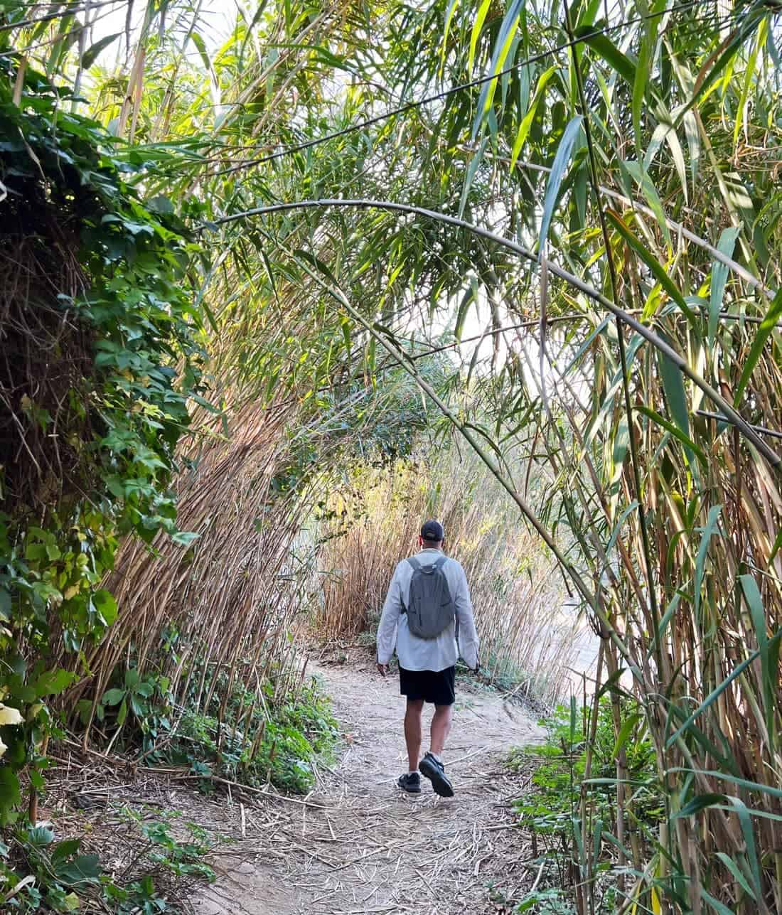 A man walks through a bamboo tree tunnel outside of Saint Tropez