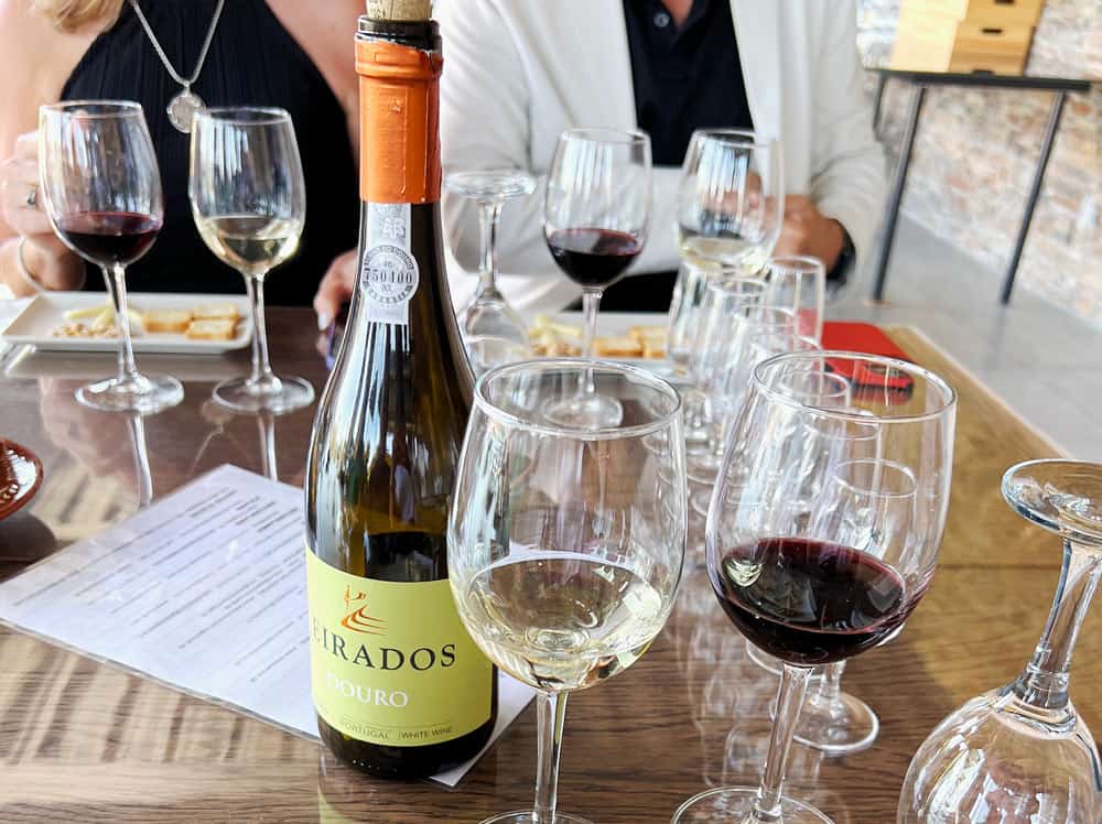 Premium wine tasting Douro Valley day trip