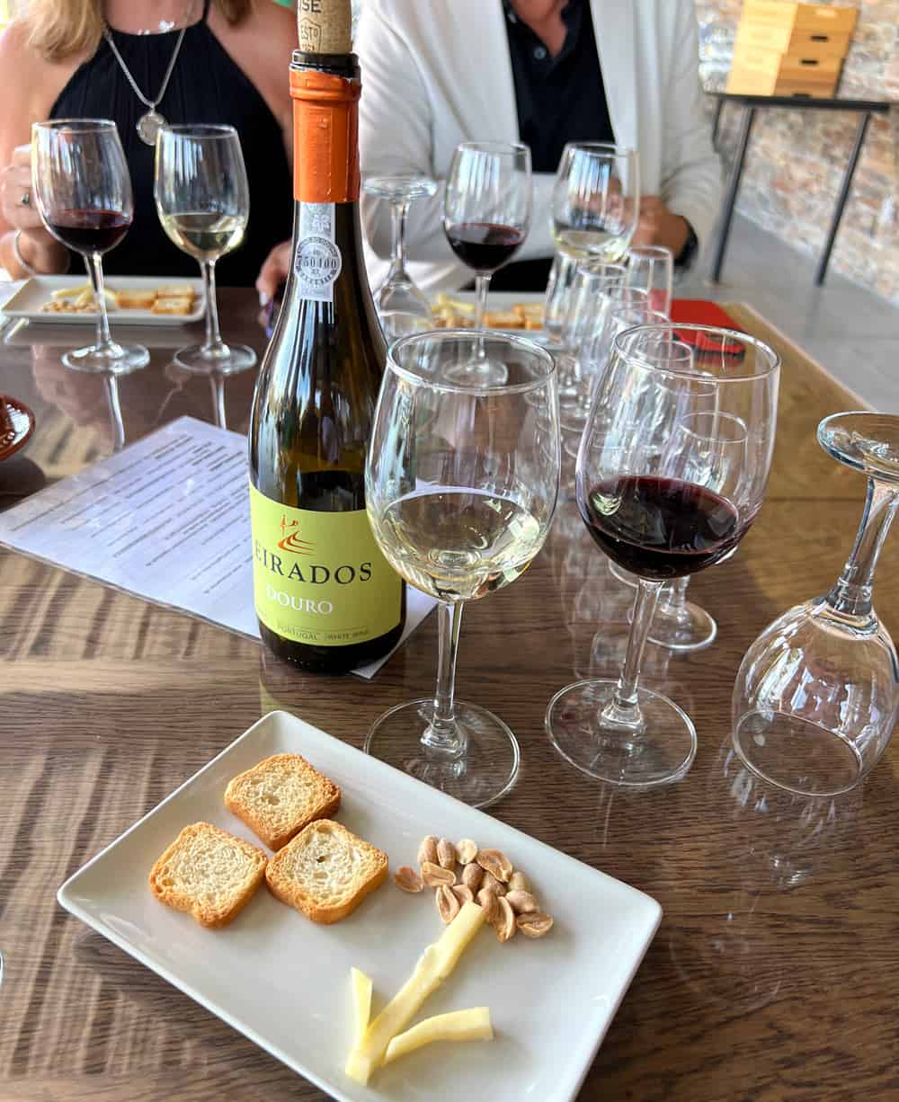 Wine tasting in the Douro Valley