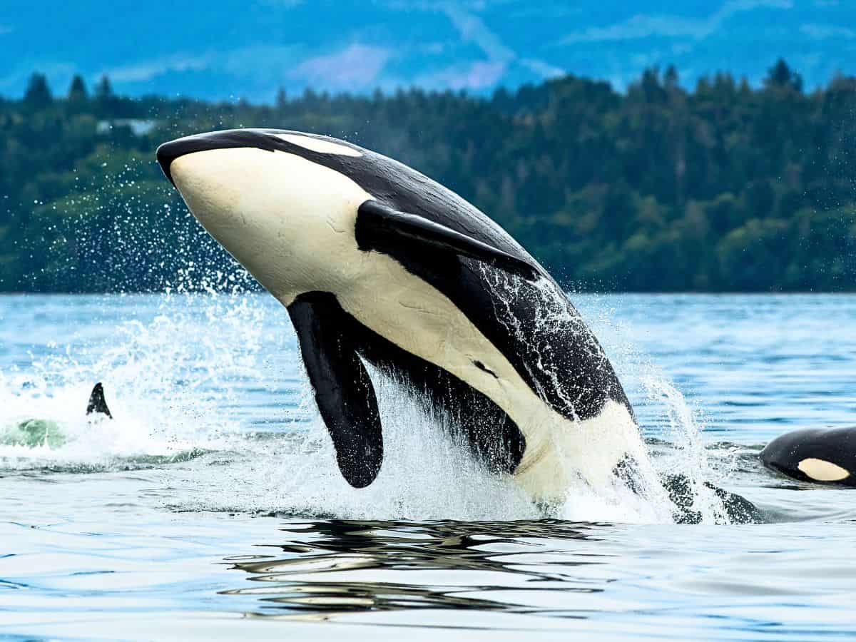 British Columbia Travel Guide