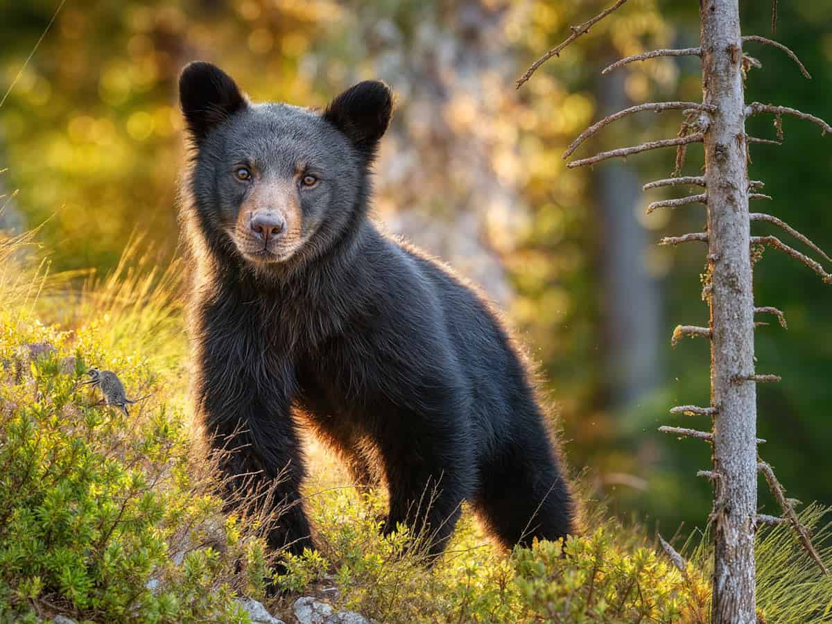 Planning a visit to British Columbia