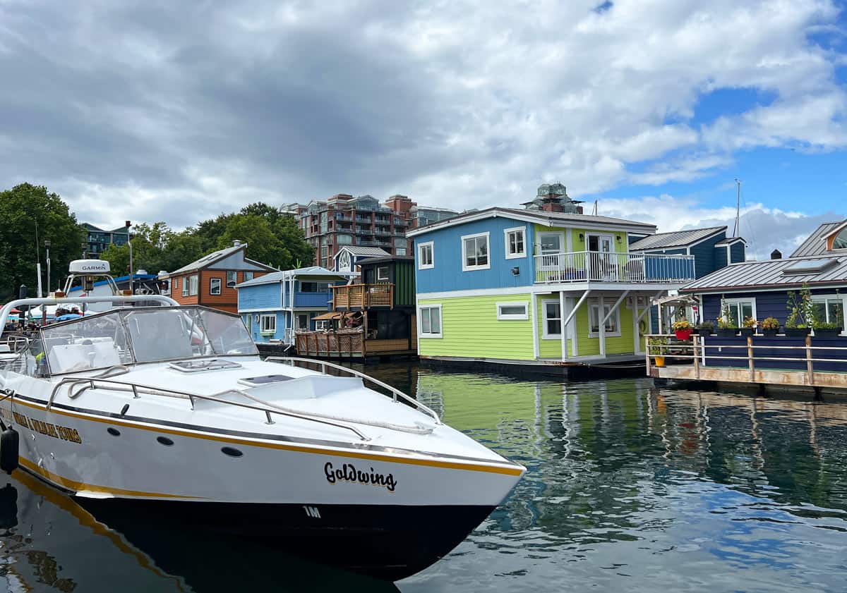 Open-air Goldwing speedboat 