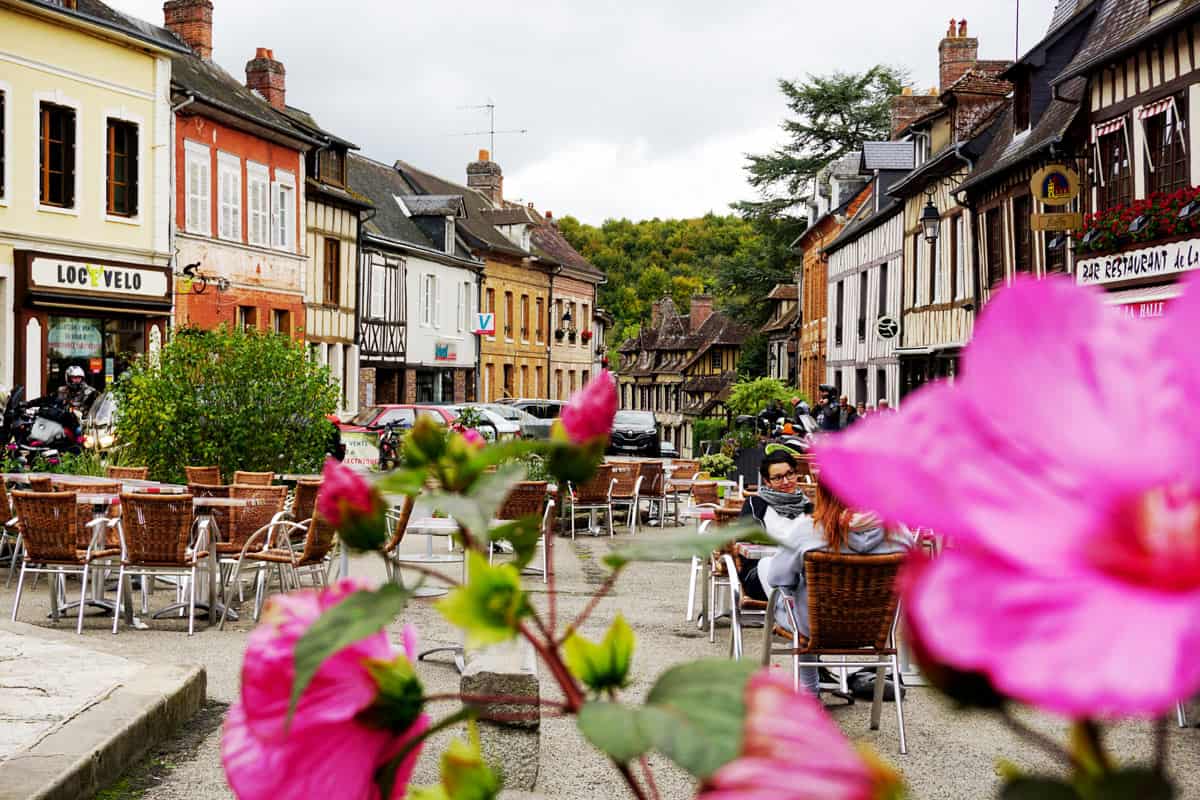 Pink flowers bloom in Lyons la Foret