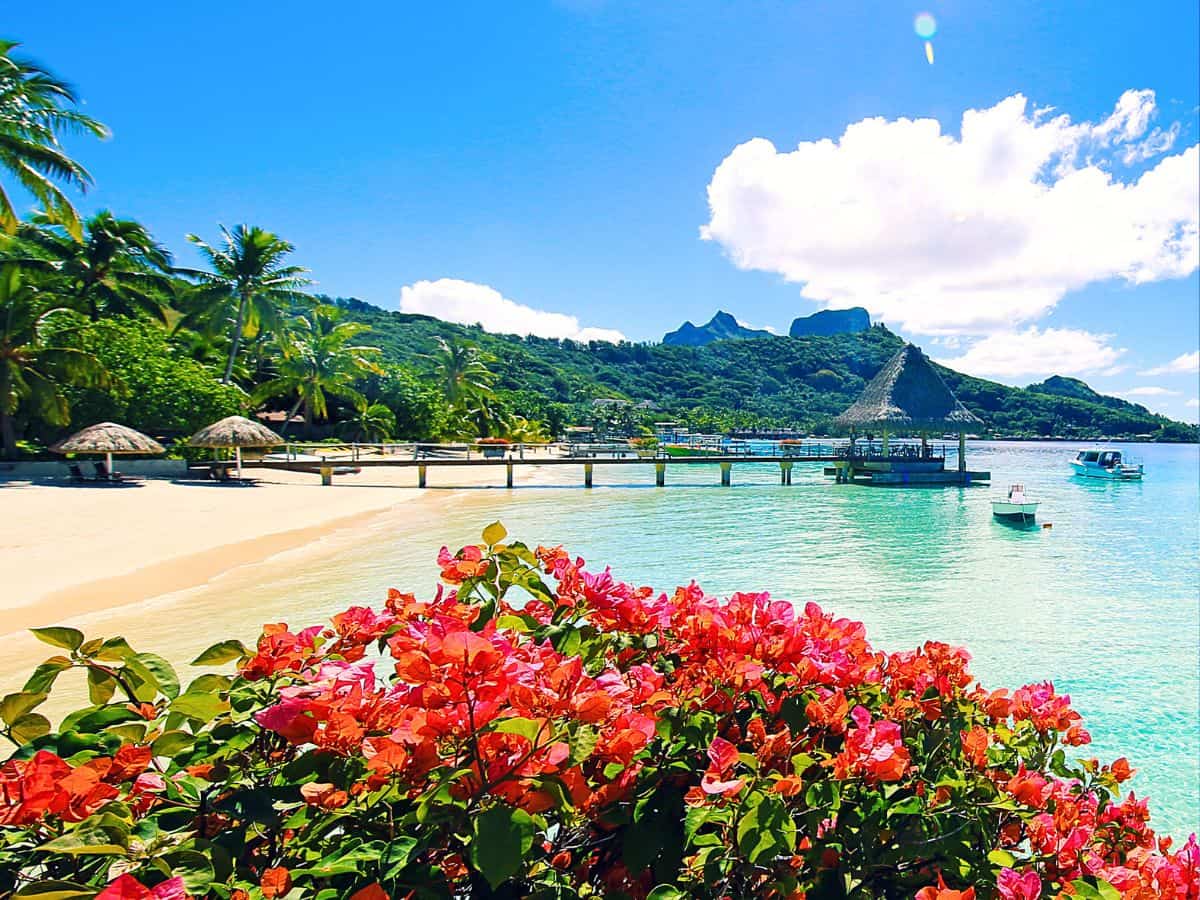 South Pacific travel