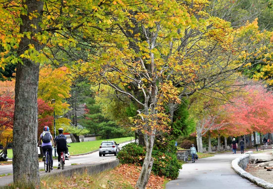 A couple bicycle past fiery red and golden trees in Stanley Park.