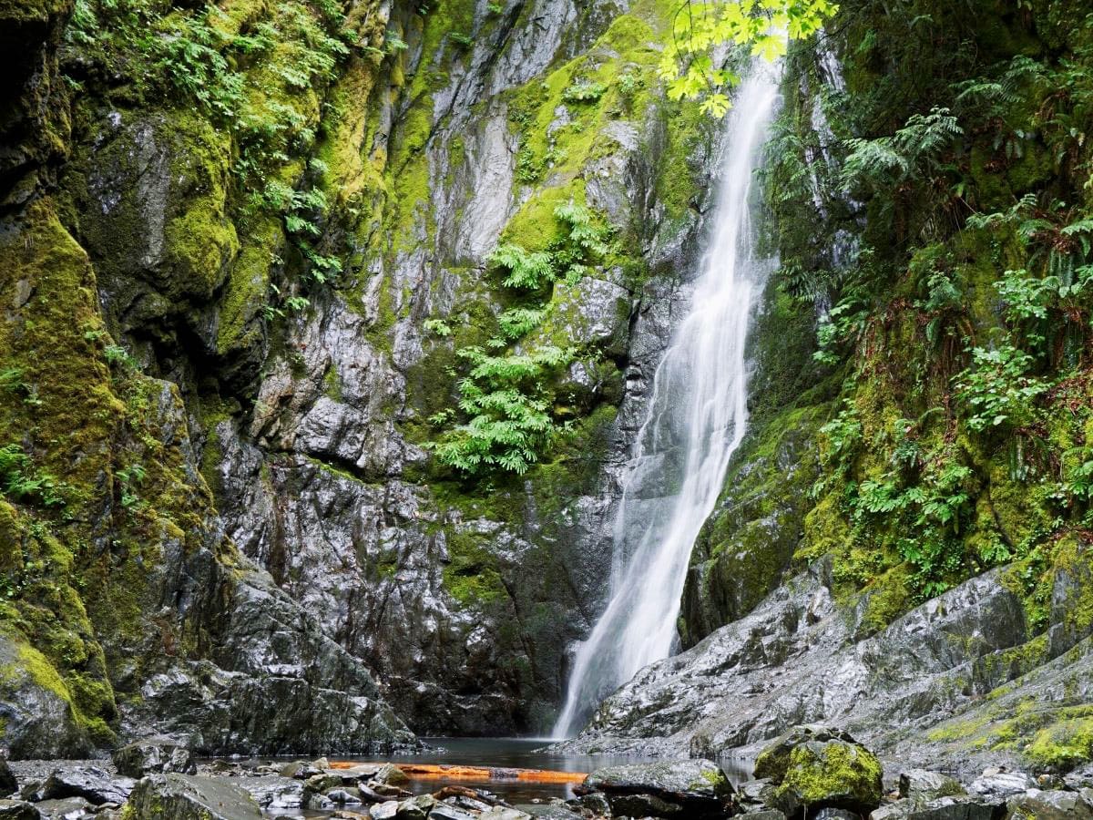 Niagara Falls in Goldstream Park