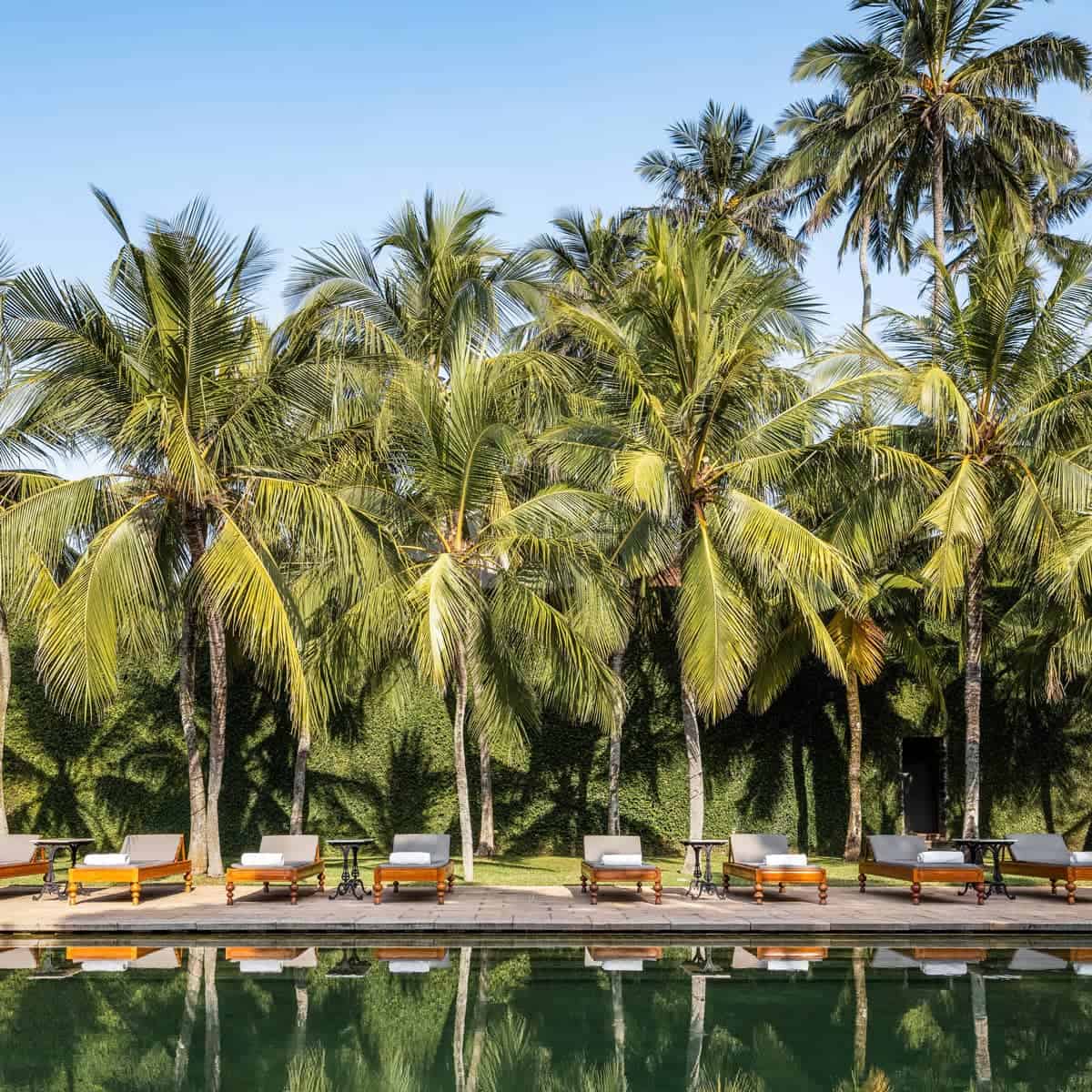 Emerald pool lined with cushioned loungers, against a backdrop of soaring palm trees