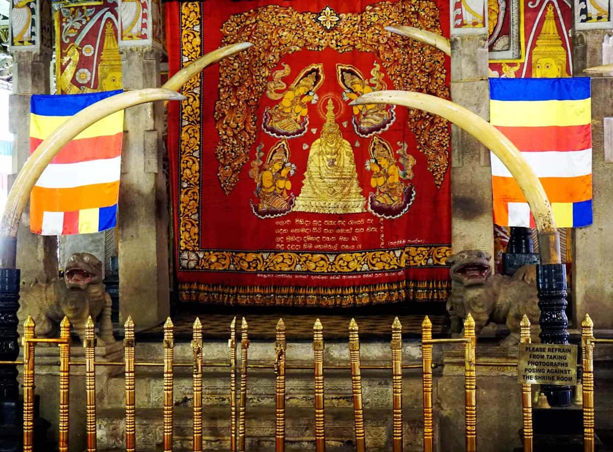Four enormous curved elephant tusks frame a red-and-gold shrine room with Buddhist flags, a golden railing and a small sign asking visitors not to pose for photographs against the shrine room.