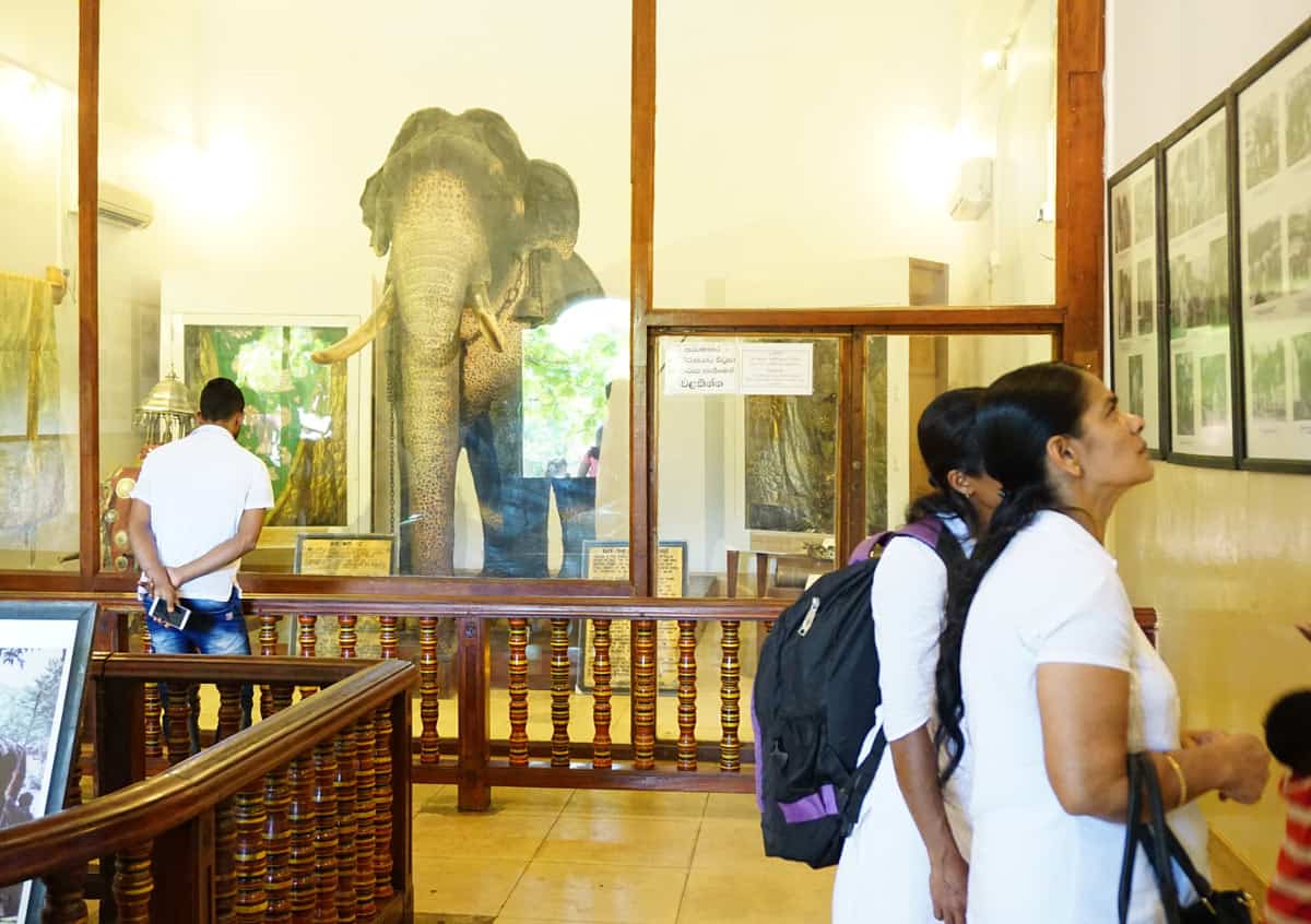 Raja’s preserved body is displayed behind glass, as visitors look at historic photographs on the walls.