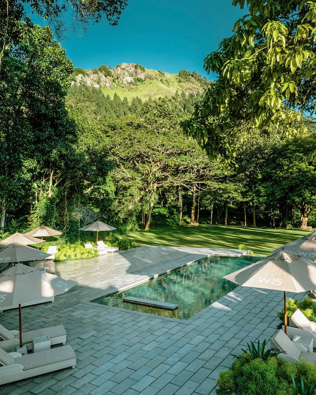 Infinity pool and loungers surrounded by lush gardens and the green Hanthana Hills